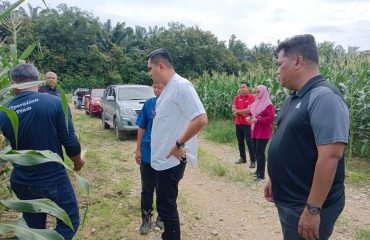 Lawatan kerja KPE PERTAM YBrs. Akmal bin Abdul Manap ke ladang jagong PERTAM