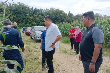 Lawatan kerja KPE PERTAM YBrs. Akmal bin Abdul Manap ke ladang jagong PERTAM